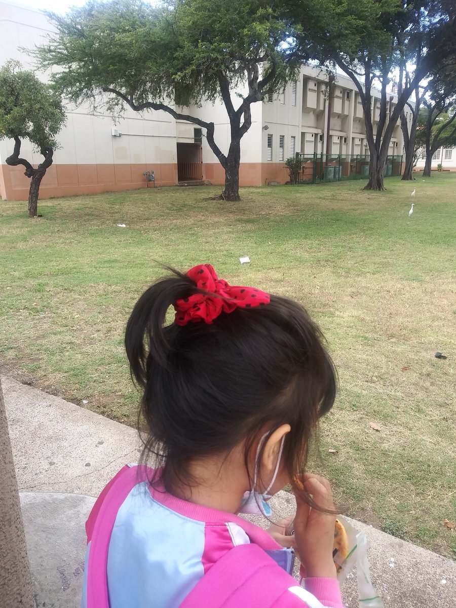 Ladybug pattern scrunchie, children,adult scrunchie, mommy and me, ponytail elastic hair tie ,anime hair ties