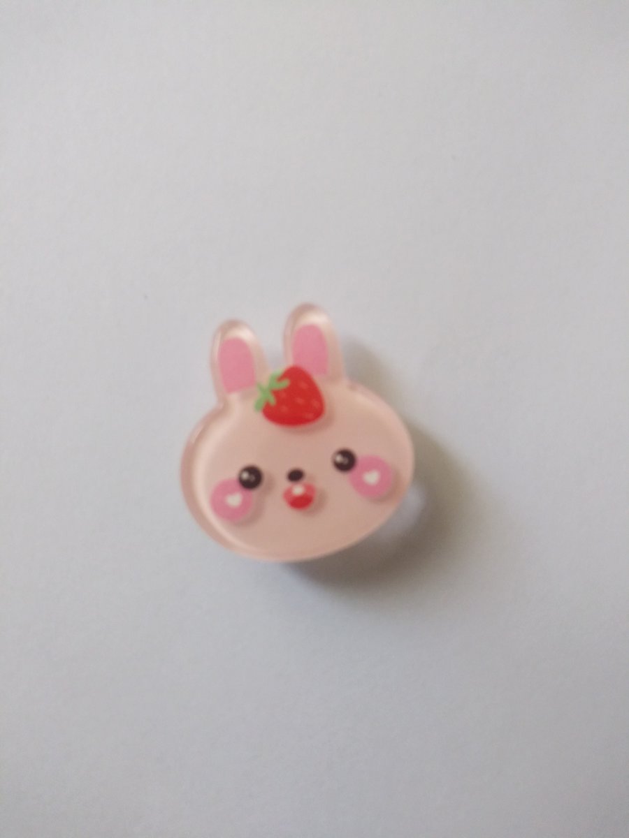 Animal and Fruits shoe charm ,handmade shoe charm, shoes accessories, crocs